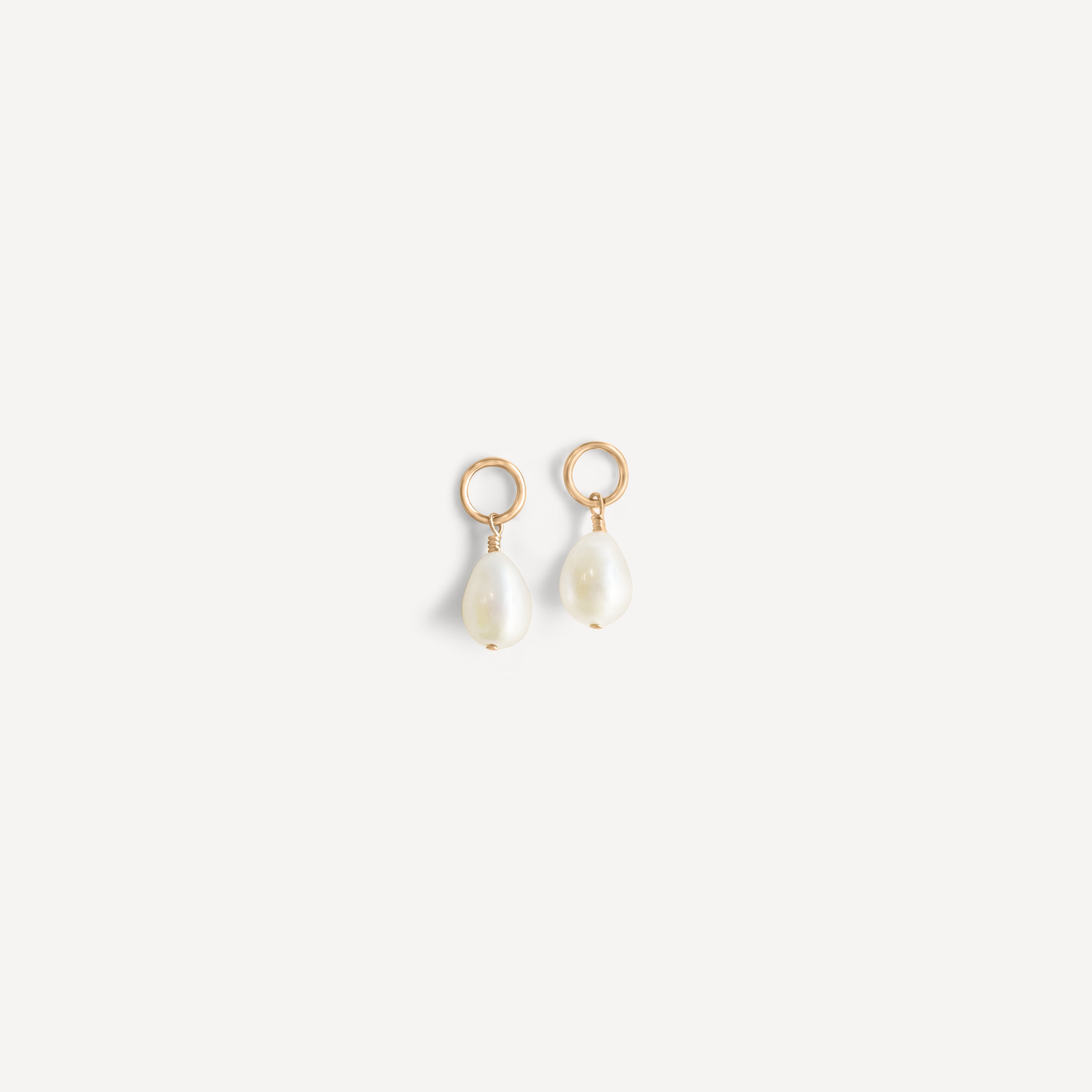 Interchangeable Hoop Charms