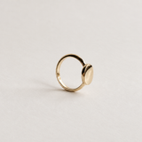 Coin Signet Ring, 14k Solid Gold