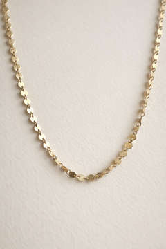 Confetti Disc Necklace | Gold Fill