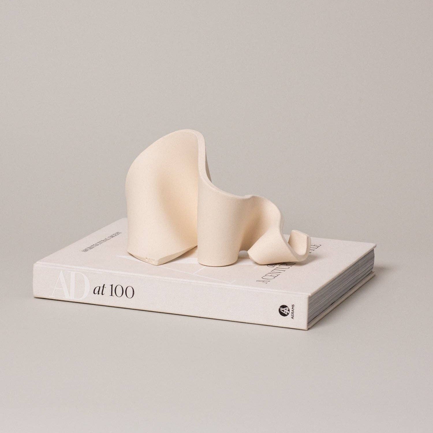 Furl Art Object, Bone displayed on a book