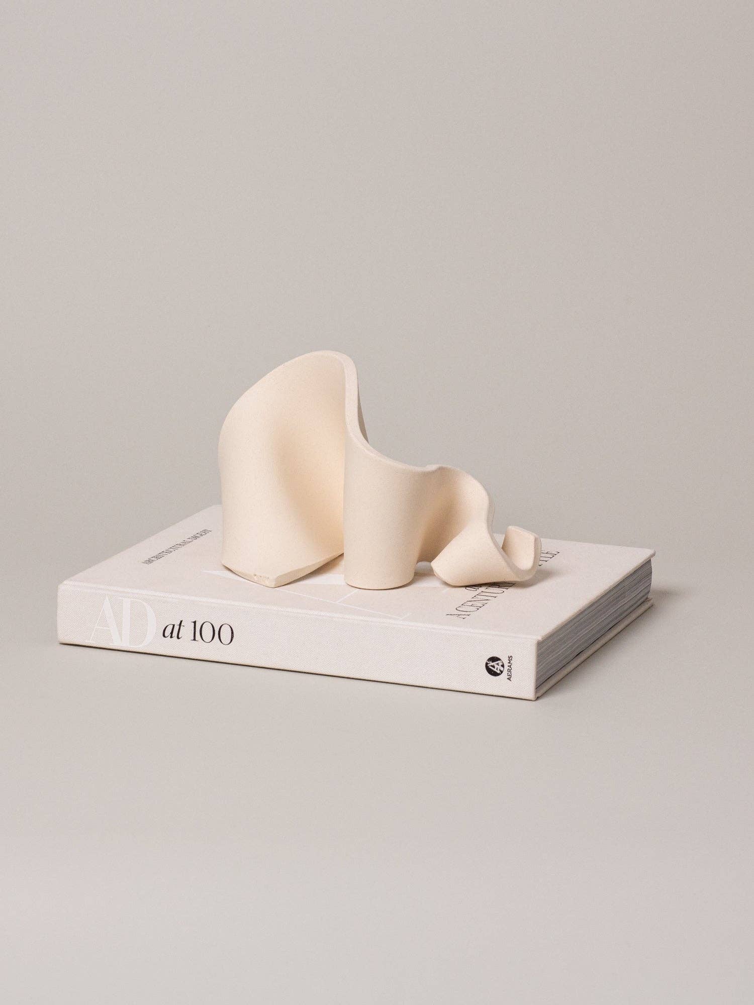 Furl Art Object, Bone displayed on a book
