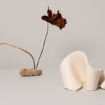 Furl Art Object, Bone displayed with a flower vase
