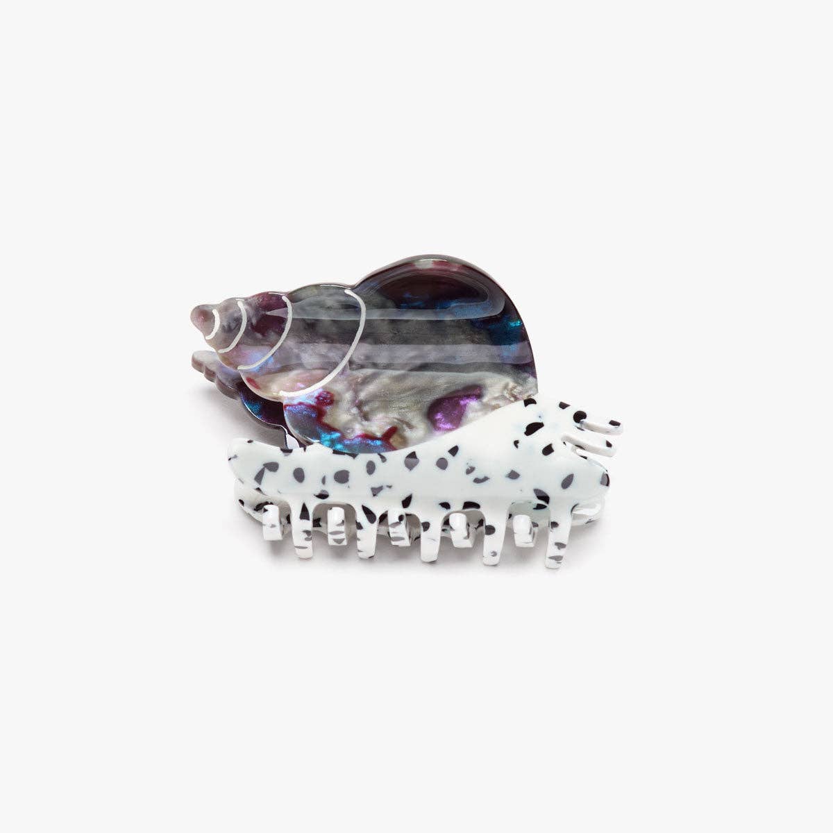 Spotted Whelk Sea Snail Clip — angled view