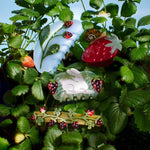Strawberry Garden Snail Fruit Acetate Hair Claw Clip displayed with other snail clips among strawberry leaves